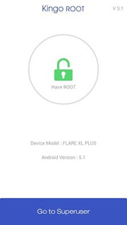 FLARE XL PLUS ROOTED